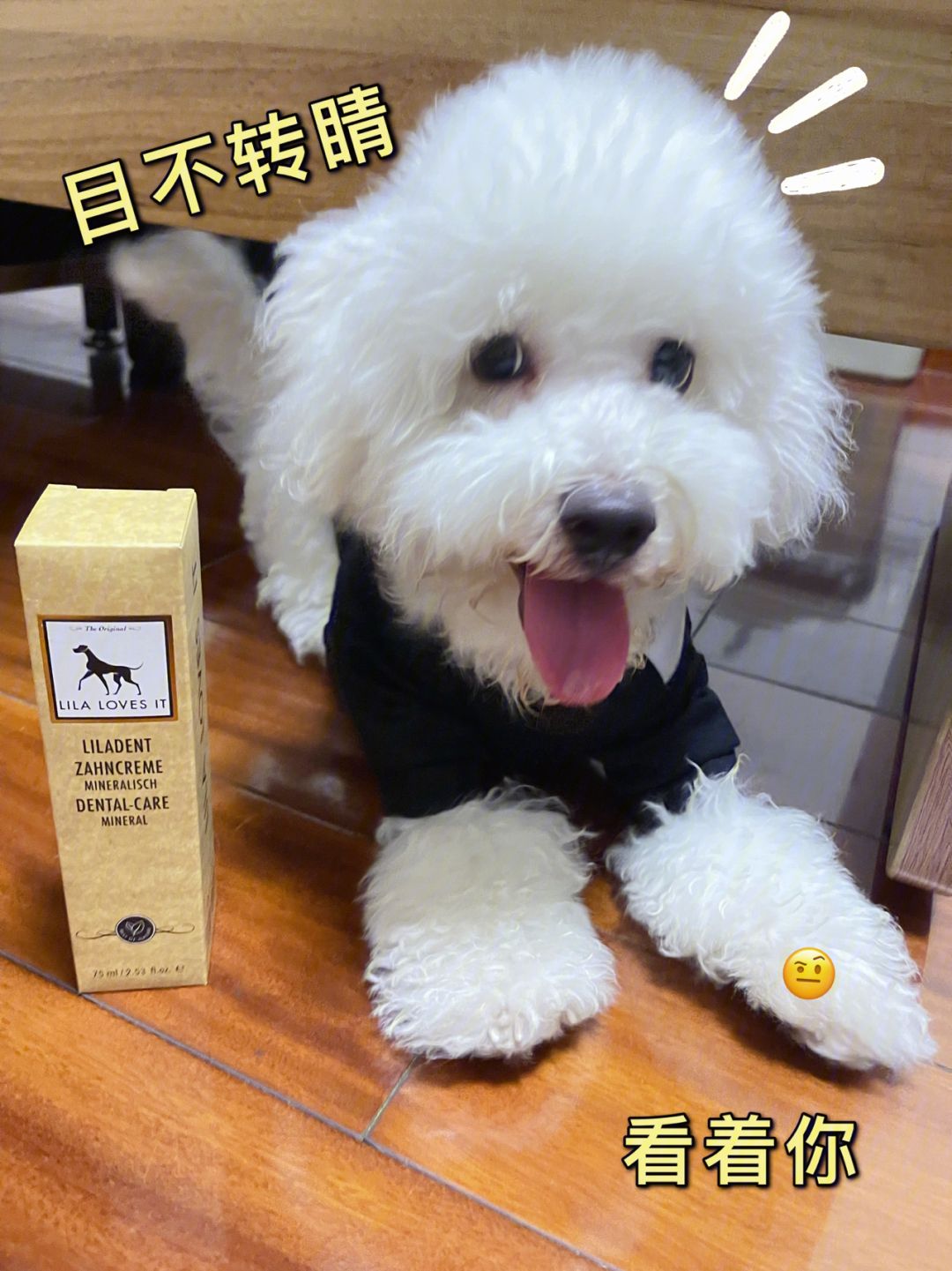 狗狗磨牙推荐儿童牙膏吗 狗狗磨牙推荐儿童牙膏吗图片 狗狗磨牙推荐儿童牙膏吗 狗狗磨牙推荐儿童牙膏吗图片