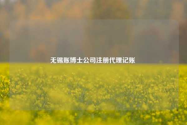 无锡账博士公司注册代理记账 