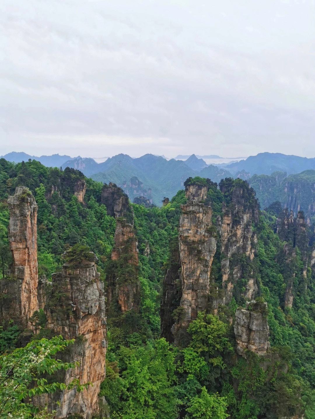 徒步去张家界旅游攻略 张家界徒步旅游露营攻略