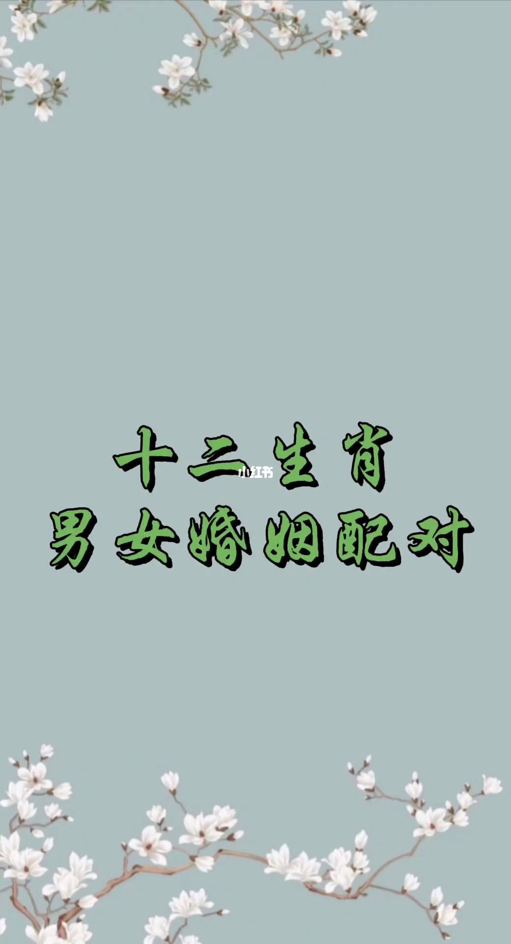 12生肖的配对关系 十二生肖配对最佳选择