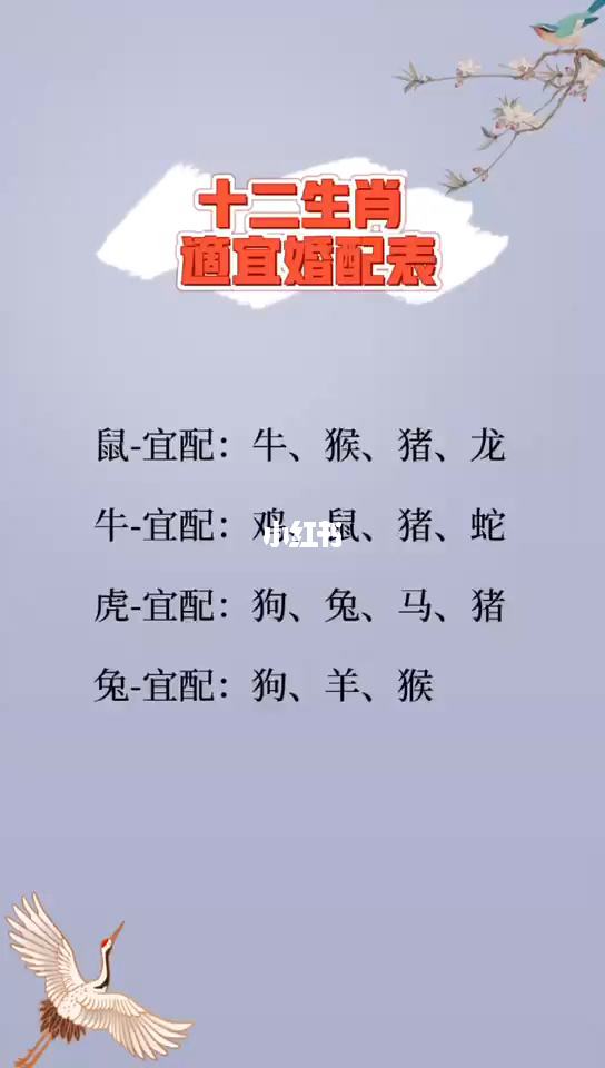 最准的12生肖配对查询网 十二生肖配对表查询911查询