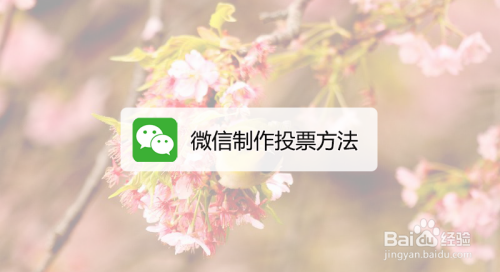 微信投票怎么加图片大全 微信投票怎么发起图片投票