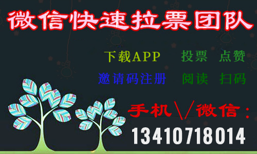 微信信誉投票怎么投不了 我的微信号为什么投票投不上