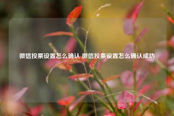 微信投票设置怎么确认 微信投票设置怎么确认成功