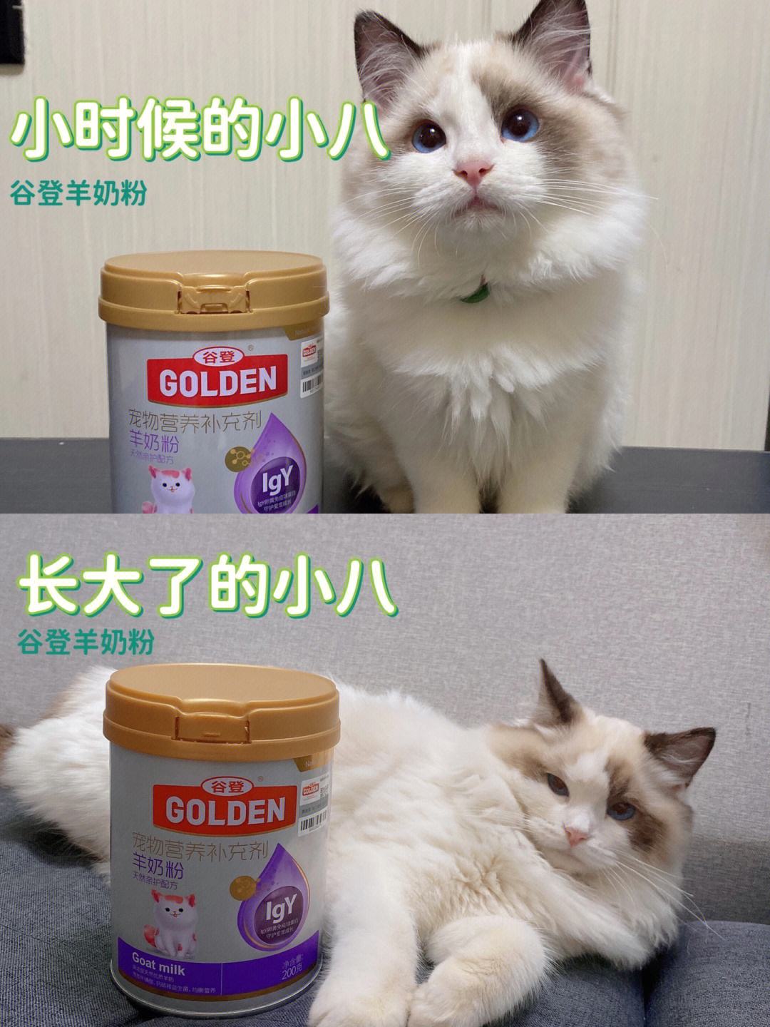 猫猫羊奶粉排行榜10强 猫猫羊奶粉十大名牌排行榜