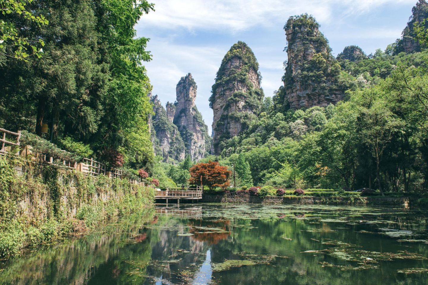 武汉到张家界旅游攻略两天 武汉到张家界旅游攻略两天多少钱