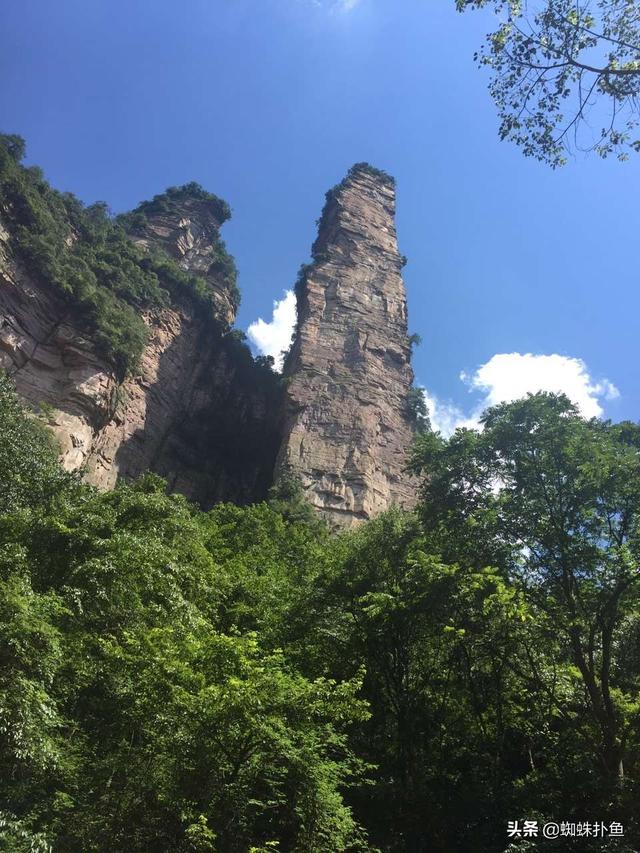武汉到张家界旅游攻略两天 武汉到张家界旅游攻略两天多少钱