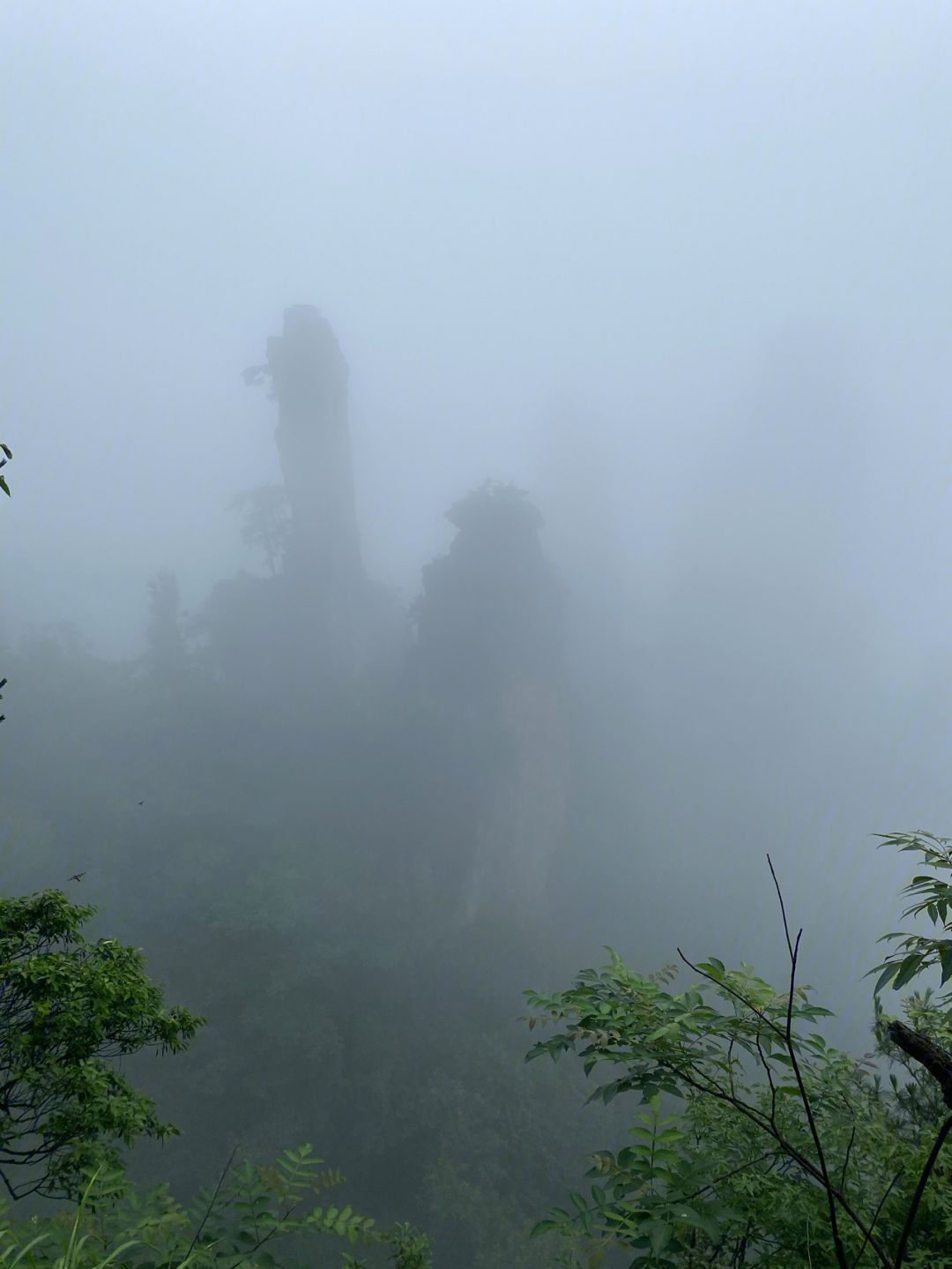 下雨天张家界游玩攻略旅游 下雨天游张家界景区好不好,会不会全是雾