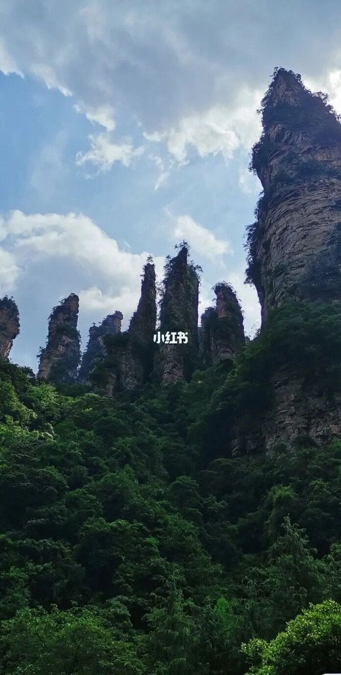 张家界当天往返旅游攻略 张家界当天往返旅游攻略最新