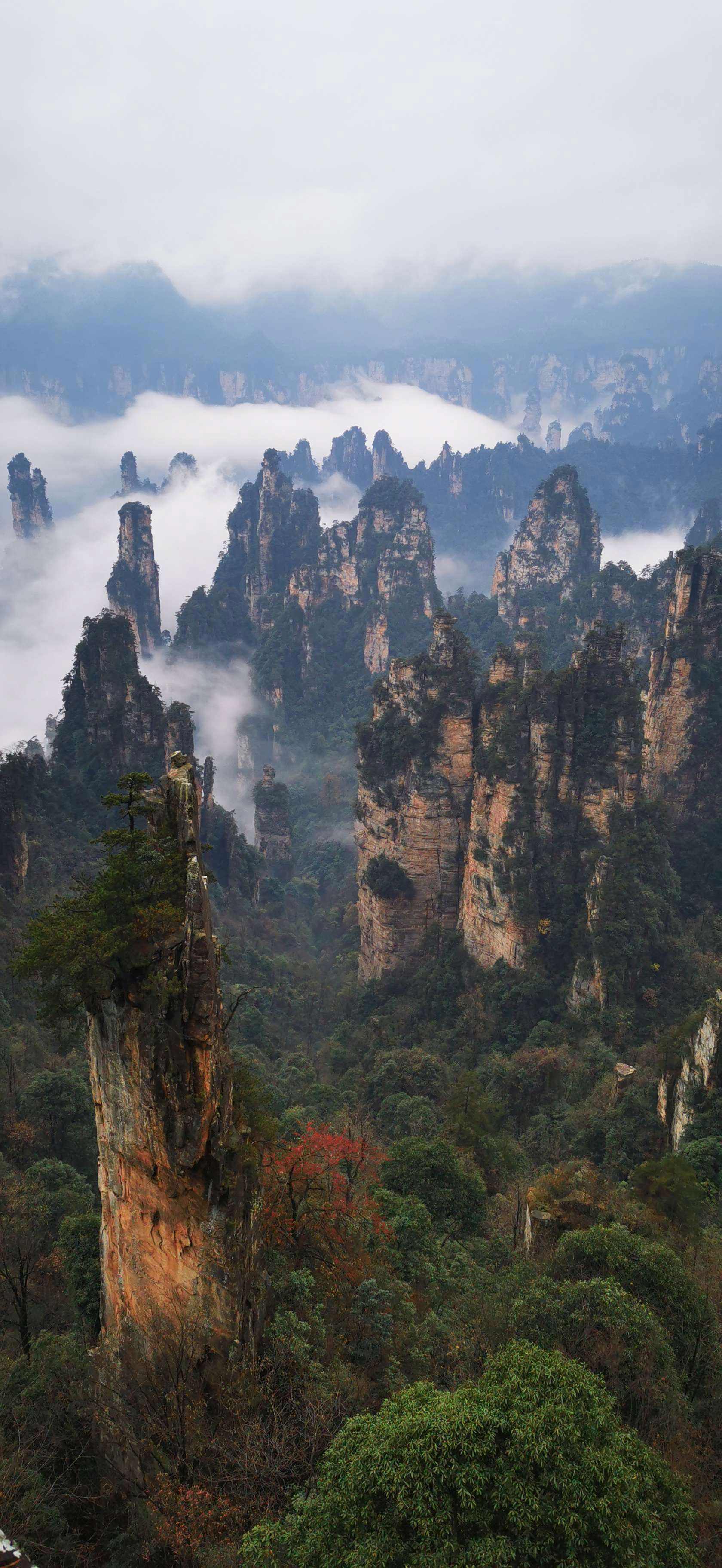 张家界武陵源旅游攻略导游 张家界武陵源风景名胜区攻略