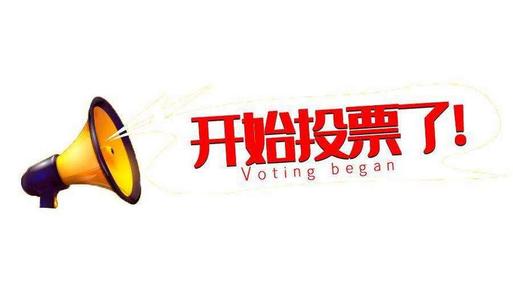 怎么知道对方是人工投票 怎么才能确定是人工投票?