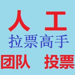 人工投票算违规吗 人工投票会被系统查出来吗