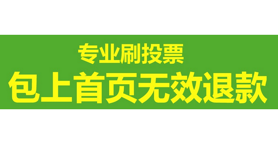 人工投票哪个公司靠谱 人工投票会被系统查出来吗