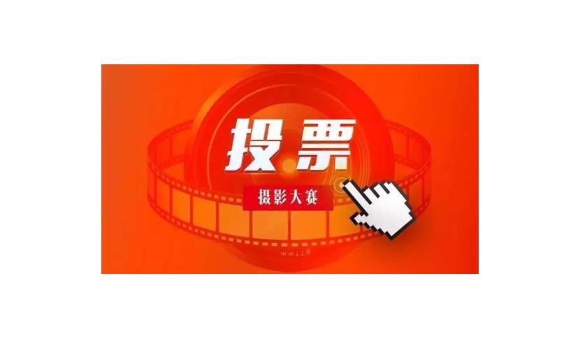 江苏人工投票价格 江苏人工投票价格查询
