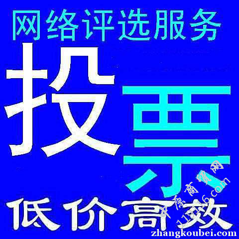 检测人工投票 人工投票团队是怎么操作的