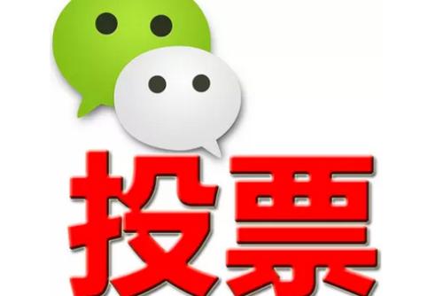网上人工投票 网上人工投票10元1000票