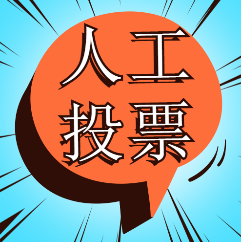 网上人工投票 网上人工投票10元1000票