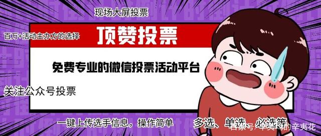 千元人工投票平台哪个好 人工投票平台软件哪个好用