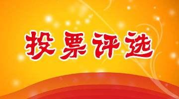 人工投票算不算刷票 人工投票会被系统查出来吗