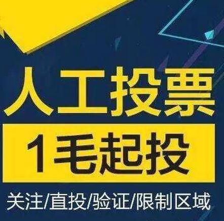 怎么为自己人工投票 人工投票团队是怎么操作的