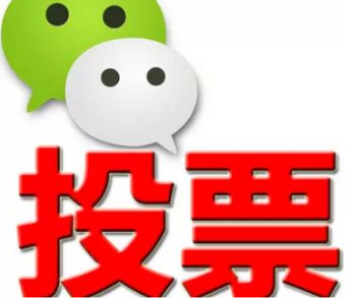 怎么为自己人工投票 人工投票团队是怎么操作的