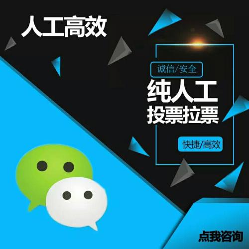 网络投票人工刷票 网络投票刷票可靠吗