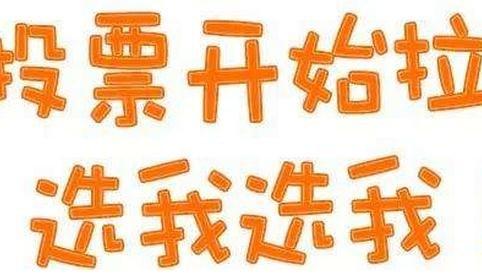 刷票是人工投票吗 刷票人工投是啥意思
