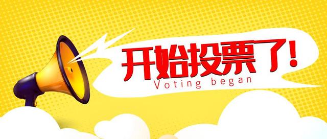 人工投票失败原因怎么写 人工投票失败原因怎么写的