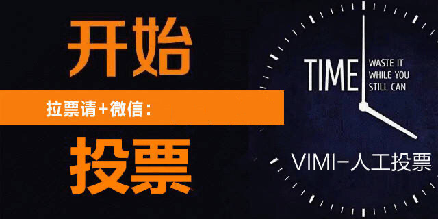 人工投票哪个最便宜 人工投票20块钱100
