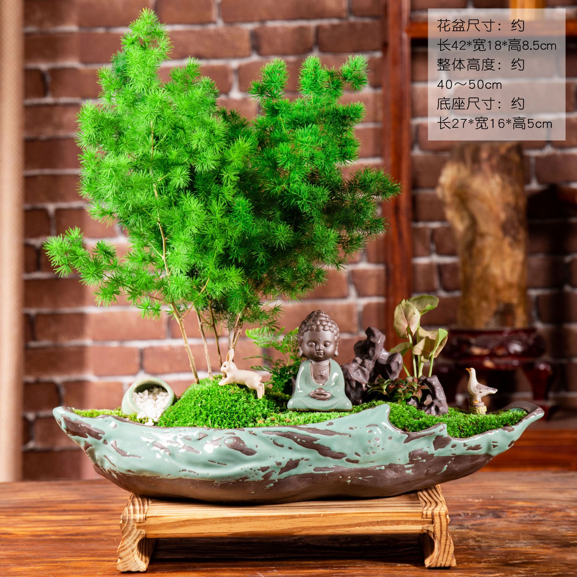 属猴的适合养什么花 属猴的适合养什么花最好