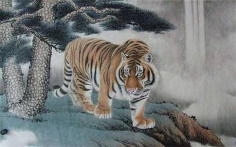 2019年生肖虎的运势(2019年属虎的全年运势)