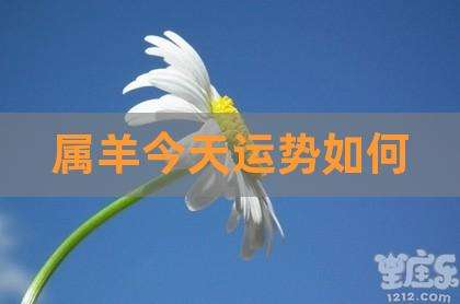67年属羊人2019年每月运势(67年属羊人2020年每月运势如何)