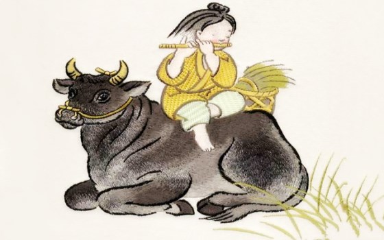 属牛在2019年的运势(属牛的运势2019年运势)
