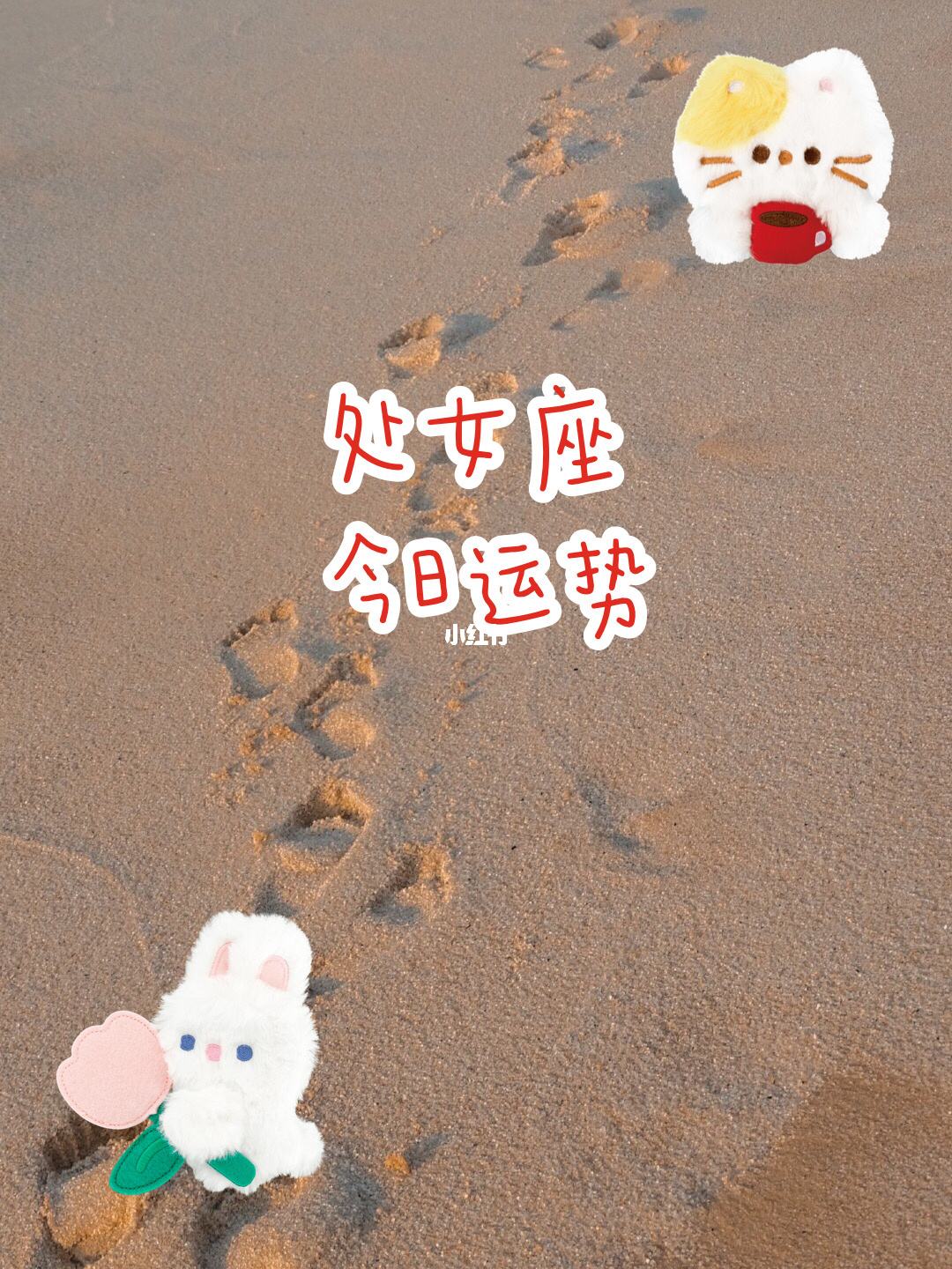 处女座今年座运势(处女座今年运势如何)