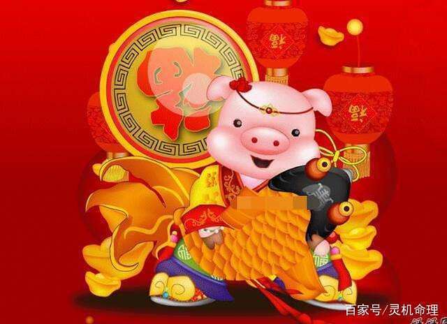 猪8月运势如何(猪8月运势如何看)