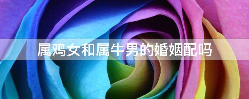 属鸡和牛的兄弟合不合(属鸡和牛的兄弟合不合财)