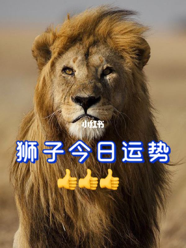 狮子座6月3日运势(6月23日狮子座运势)
