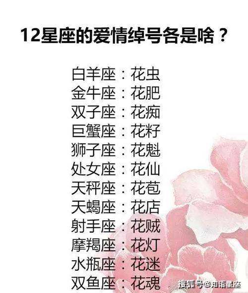 12星座速配星座表(十二星座速配指数查询表)