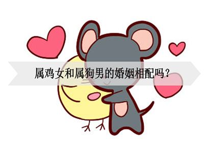属鸡的跟狗合不合婚(属鸡和属狗的结婚相克吗)