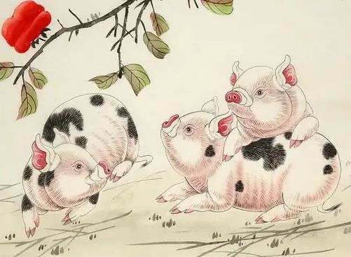 属猪与属鸡合不合财(属猪和属鸡的合财吗 怎么破)
