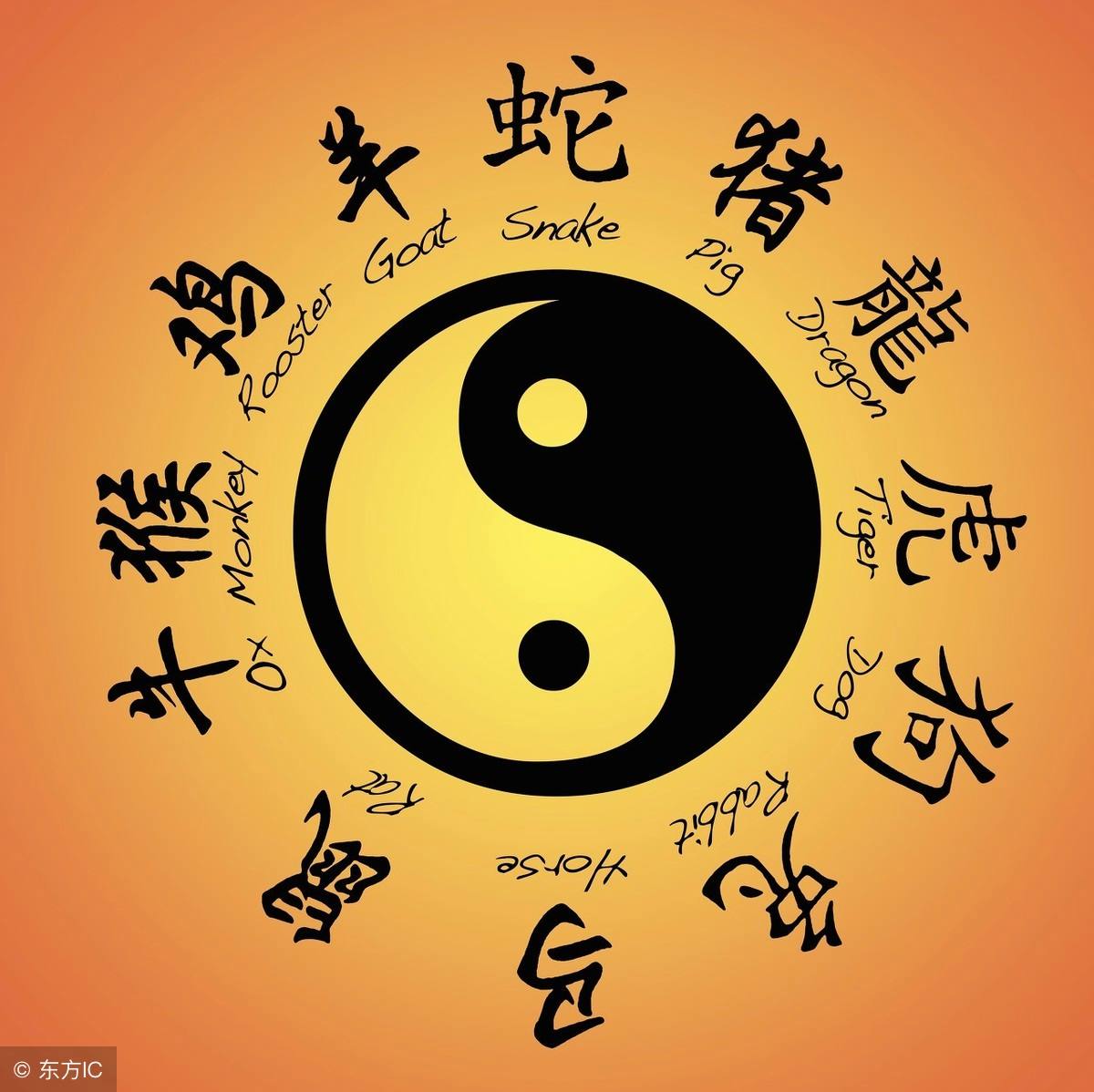 庚戌年和戊申年的人合不合(庚戌年和戊申年的人合不合婚姻)