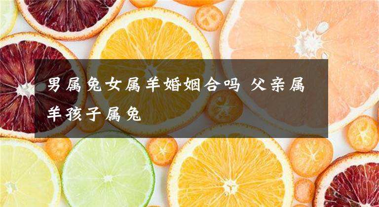 火牛和木羊合不合婚(木鼠和火牛可以结婚吗)