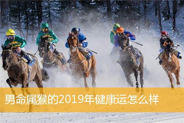 2019生肖猴每月运势(2019生肖猴每月运势详解)