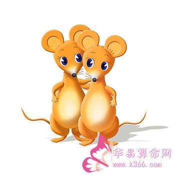 老鼠2月运势(生肖鼠2月运势)