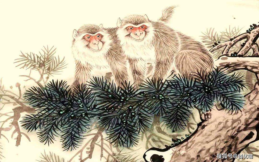鼠年运势猴(猴年鼠年运势)