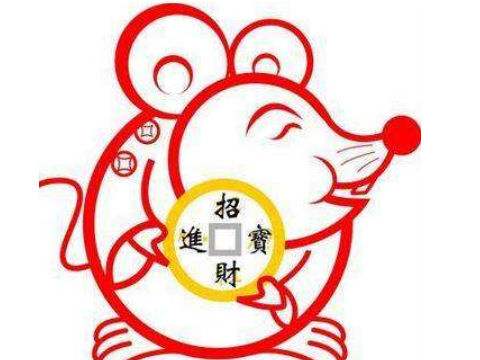 老鼠跟龙合不合财(属老鼠的和属龙的合不合财)