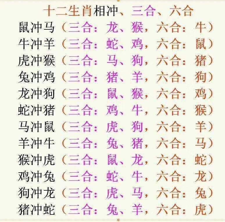 猪和蛇八字合不合(属蛇和属猪八字合不合)