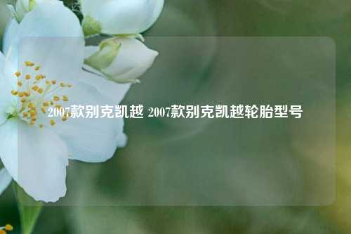 2007款别克凯越 2007款别克凯越轮胎型号