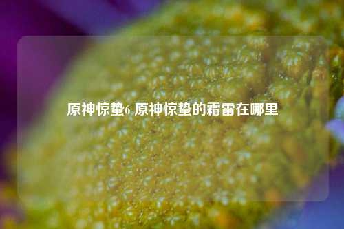原神惊蛰6 原神惊蛰的霜雷在哪里