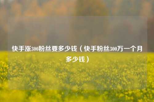 快手涨300粉丝要多少钱（快手粉丝300万一个月多少钱）
